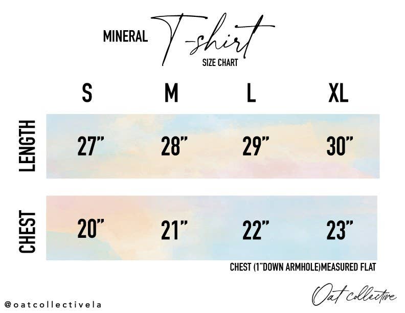 ISAIAH 40:8 Front and Back print Mineral Washed Graphic Top: CARDINAL