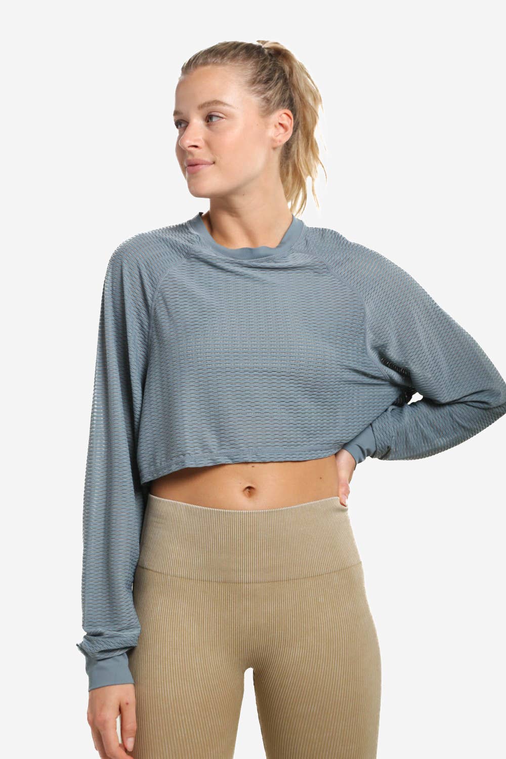 Striped Trellis Mesh Raglan Cropped Top: SEA